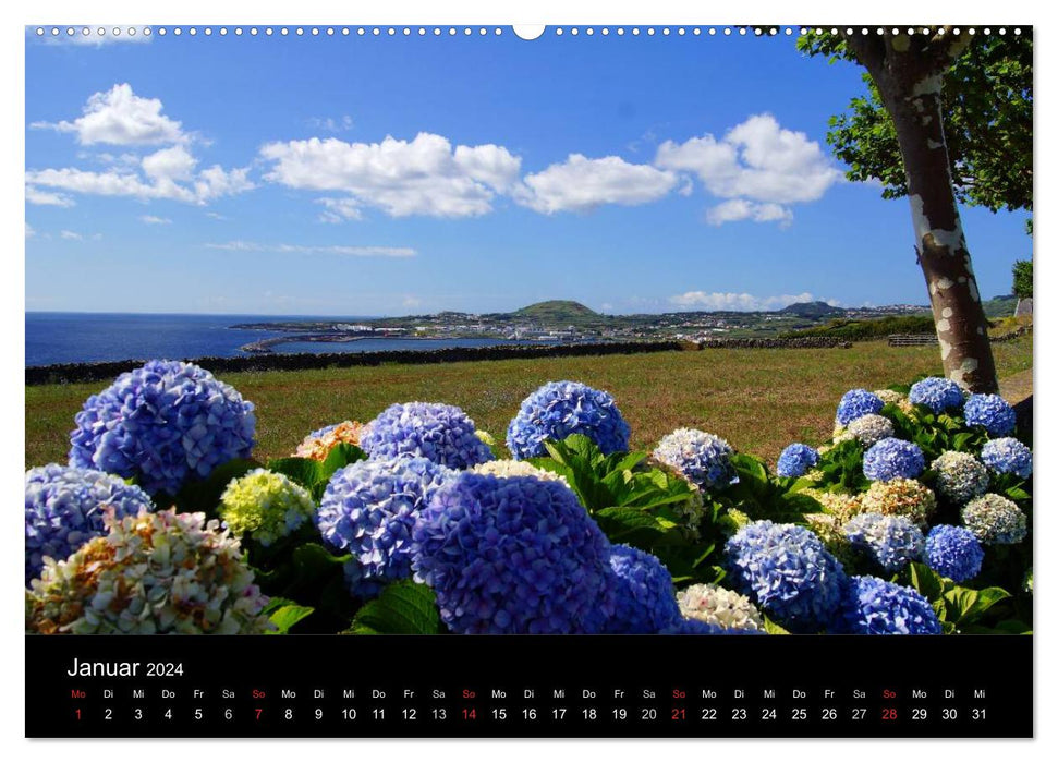 Açores - Une expérience nature (Calendrier mural CALVENDO Premium 2024) 