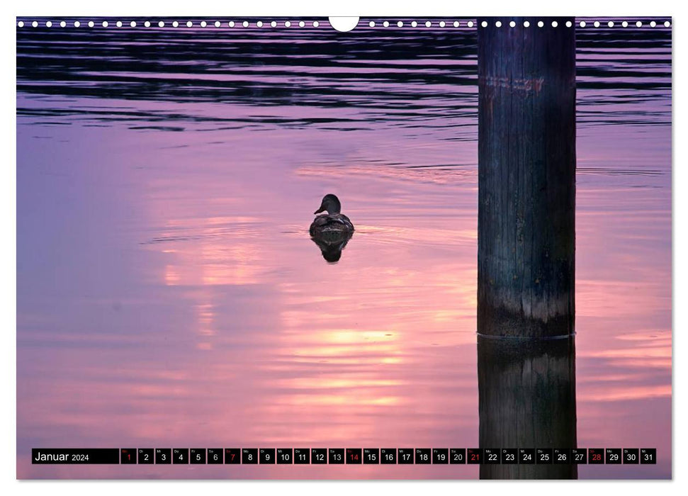 Mecklenburgische Seenplatte - zum Träumen schön (CALVENDO Wandkalender 2024)