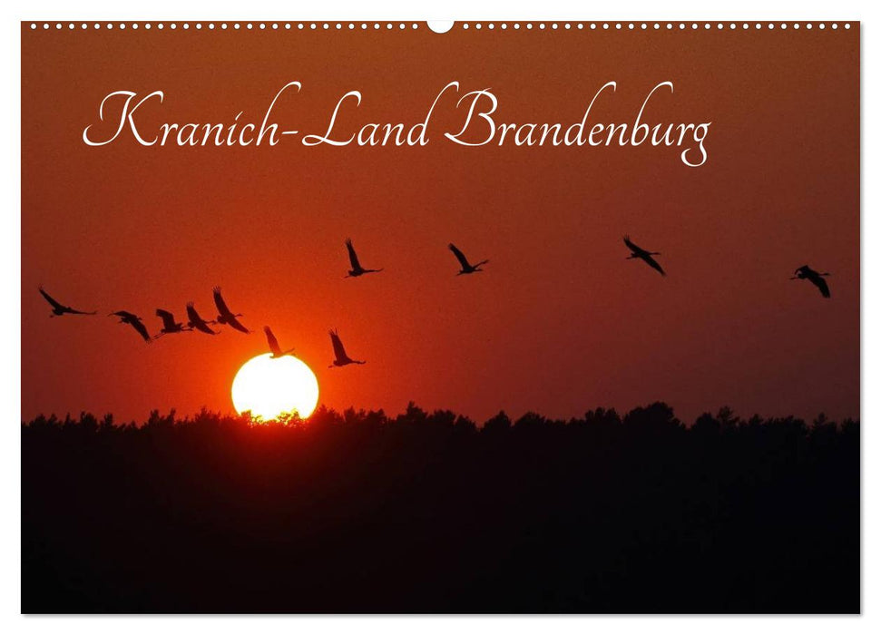 Kranich-Land Brandenburg (CALVENDO Wandkalender 2024)