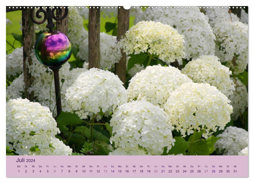 Hortensien 2024. Farbenprächtige Impressionen aus dem Garten (CALVENDO Premium Wandkalender 2024)