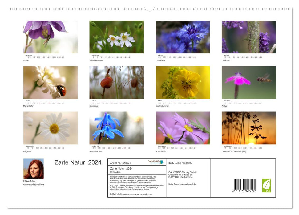 Zarte Natur 2024 (CALVENDO Premium Wandkalender 2024)