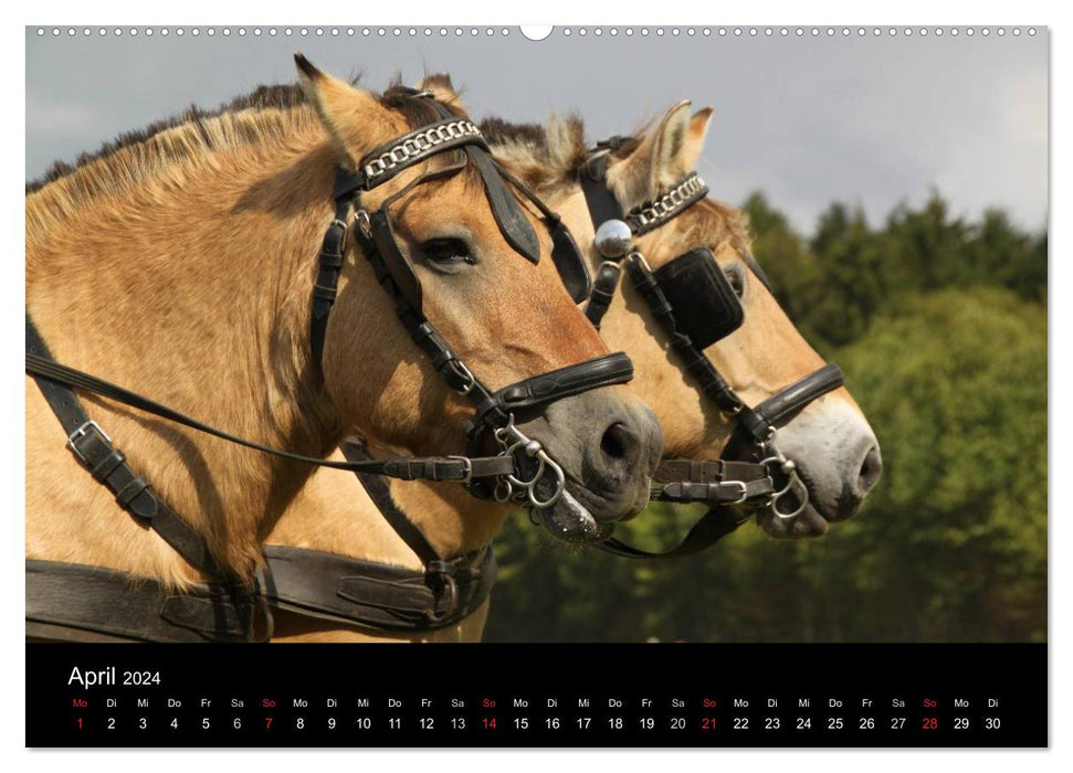 Starke Pferde bei der Arbeit (CALVENDO Premium Wandkalender 2024)