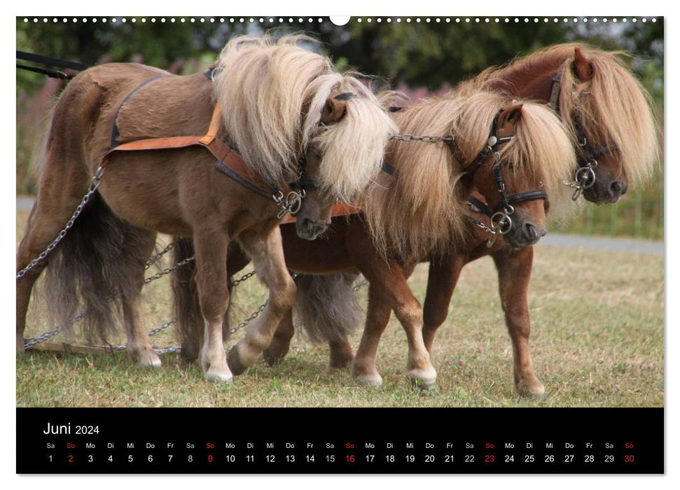 Starke Pferde bei der Arbeit (CALVENDO Premium Wandkalender 2024)