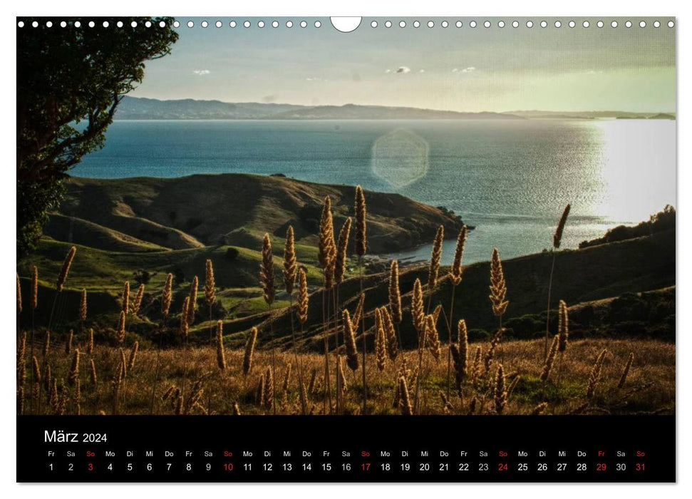 Neuseeland extrem (CALVENDO Wandkalender 2024)
