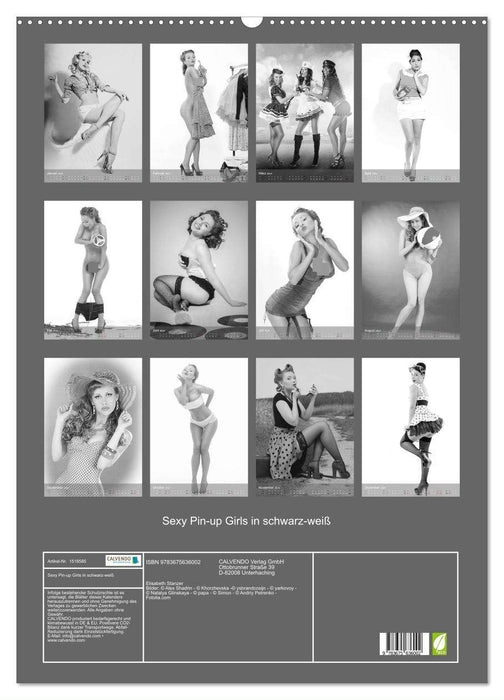 Sexy Pin-up Girls in schwarz-weiß (CALVENDO Wandkalender 2024)