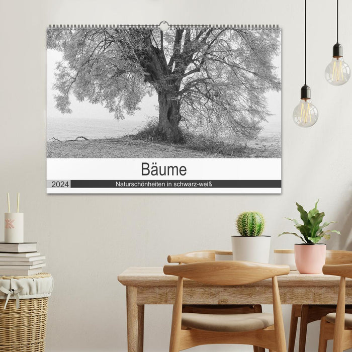 Bäume - Naturschönheiten in schwarz-weiß (CALVENDO Wandkalender 2024)
