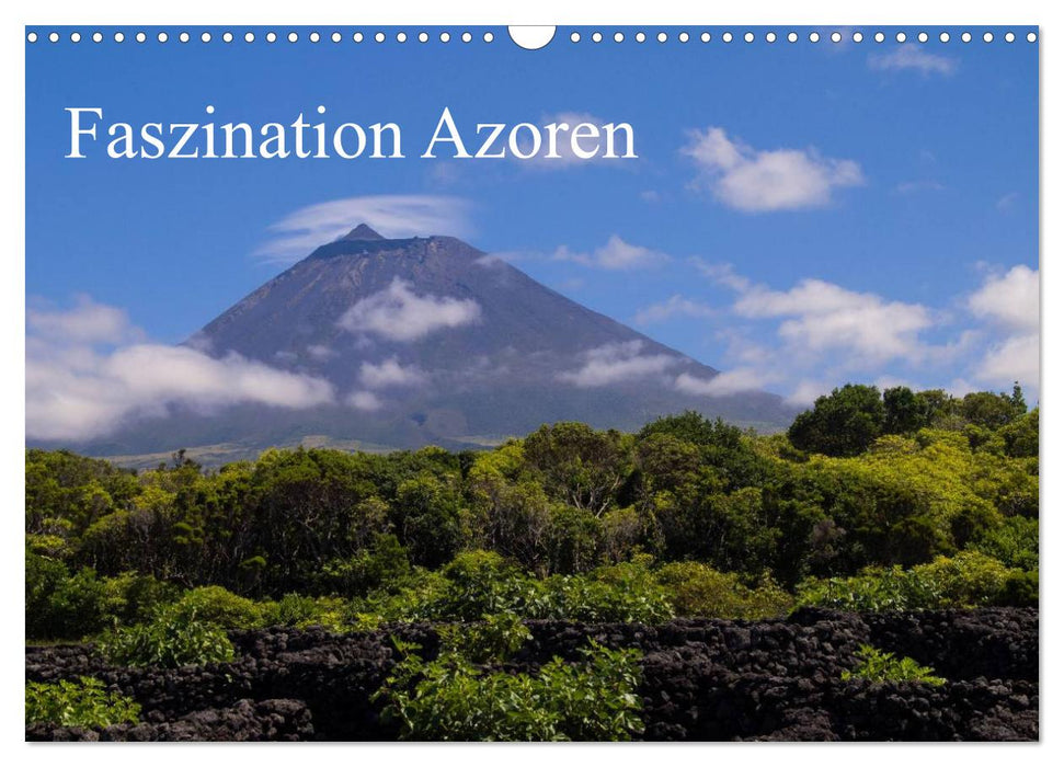 Faszination Azoren (CALVENDO Wandkalender 2024)