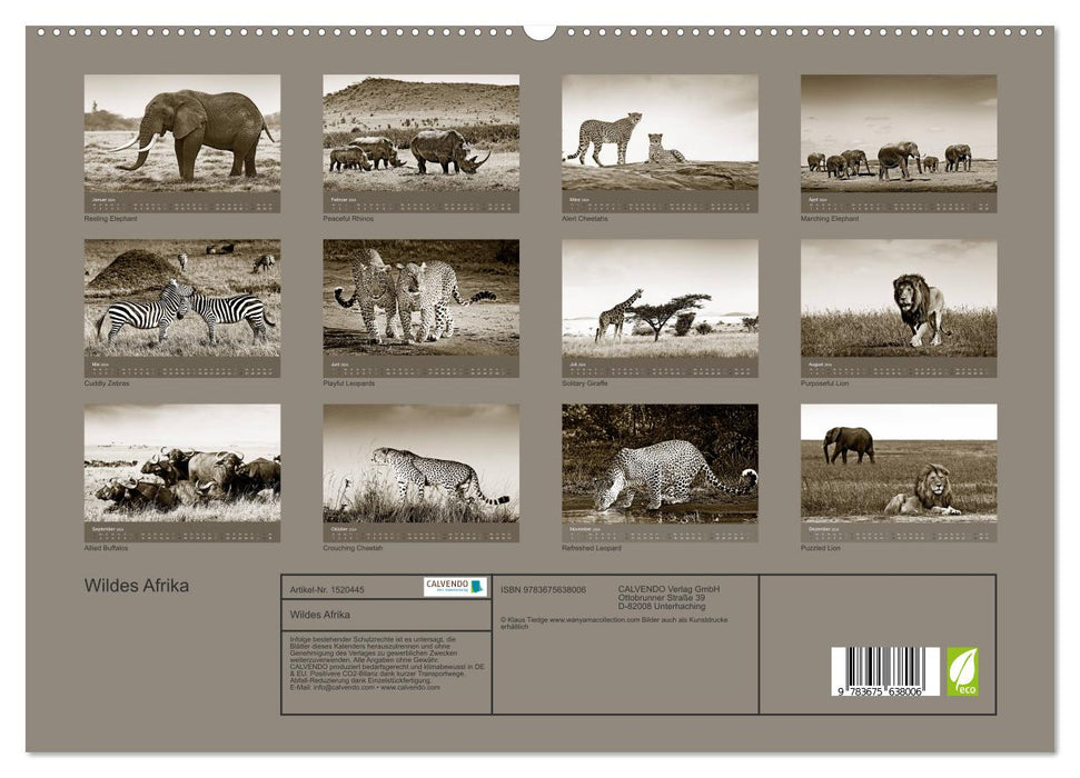 Wildes Afrika (CALVENDO Premium Wandkalender 2024)