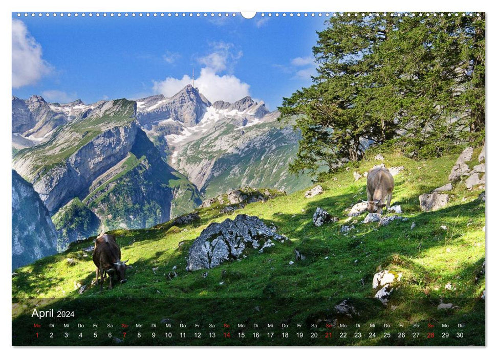 Traumhafte Bergwelten (CALVENDO Premium Wandkalender 2024)