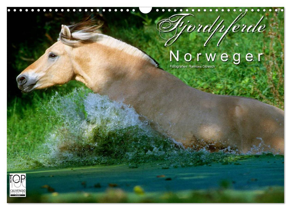Fjordpferde - Norweger (CALVENDO Wandkalender 2024)