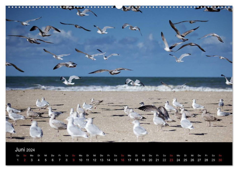 Frankreich Normandie (CALVENDO Wandkalender 2024)