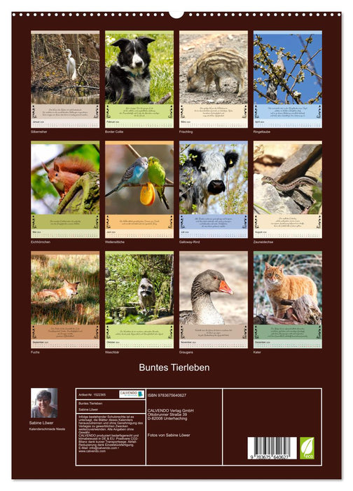 Buntes Tierleben (CALVENDO Premium Wandkalender 2024)