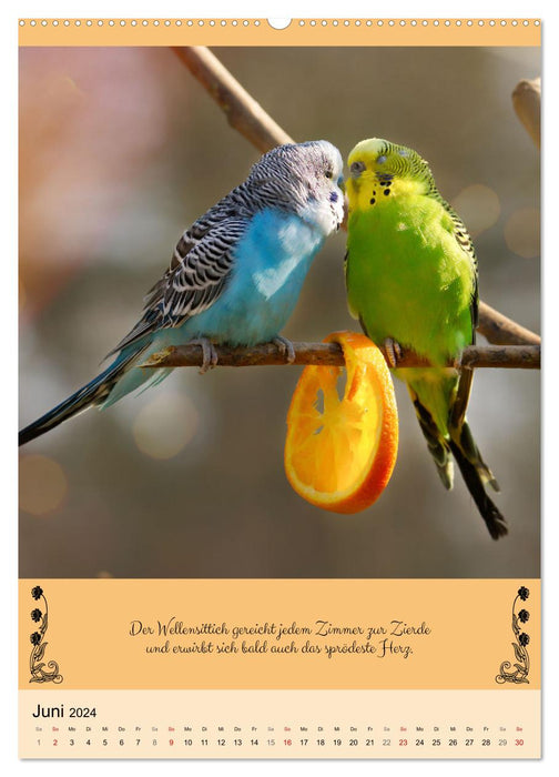 Buntes Tierleben (CALVENDO Premium Wandkalender 2024)