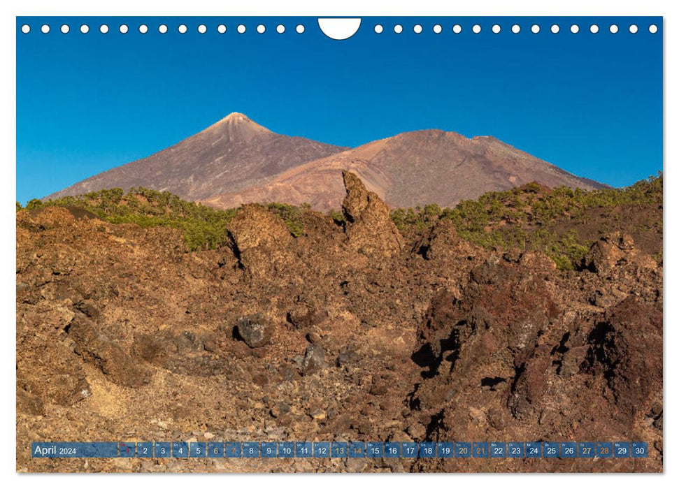 Île volcanique de Tenerife au large de l'Afrique (calendrier mural CALVENDO 2024) 
