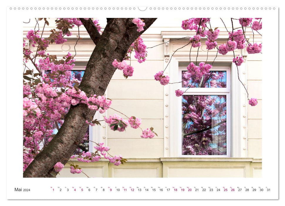 Fleurs de cerisier japonais à Bonn (Calendrier mural CALVENDO Premium 2024) 