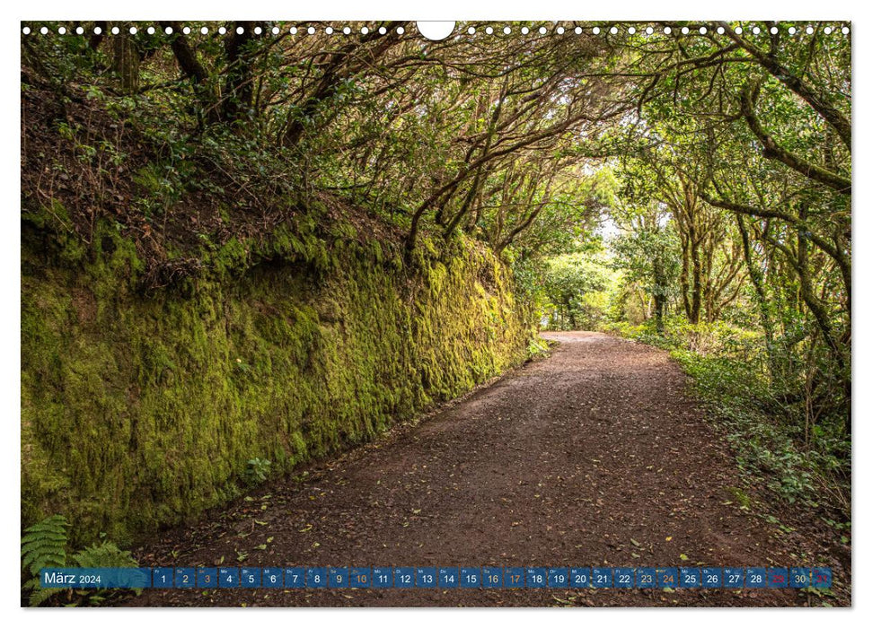 Tenerife - volcanic island off Africa (CALVENDO wall calendar 2024) 