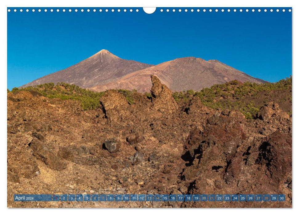 Tenerife - île volcanique au large de l'Afrique (calendrier mural CALVENDO 2024) 