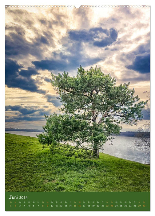 Cospudener See (CALVENDO Wandkalender 2024)