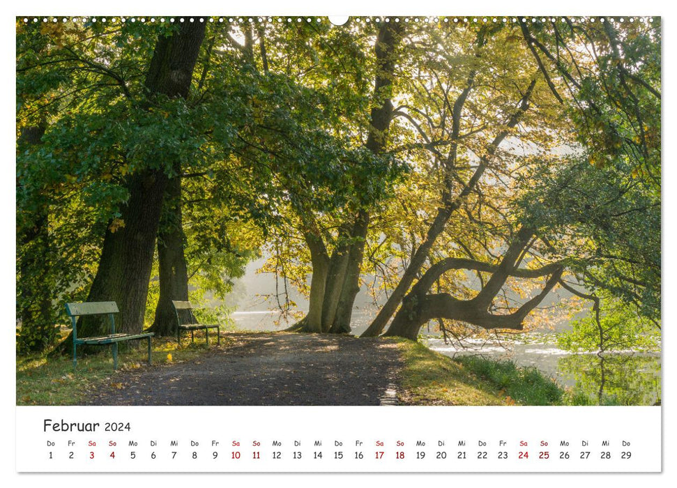 Kassel - Natur pur (CALVENDO Premium Wandkalender 2024)