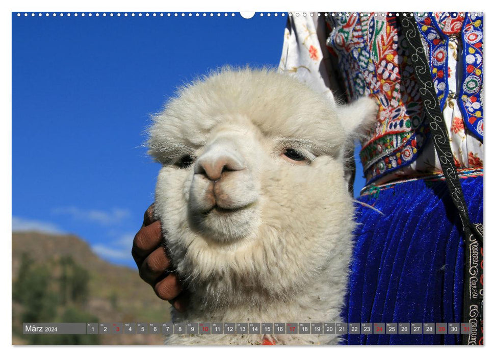 Peru entdecken (CALVENDO Premium Wandkalender 2024)
