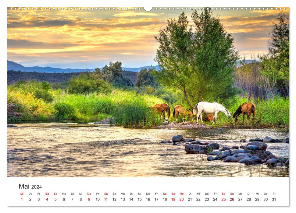 Freiheitsliebende Wildpferde (CALVENDO Premium Wandkalender 2024)