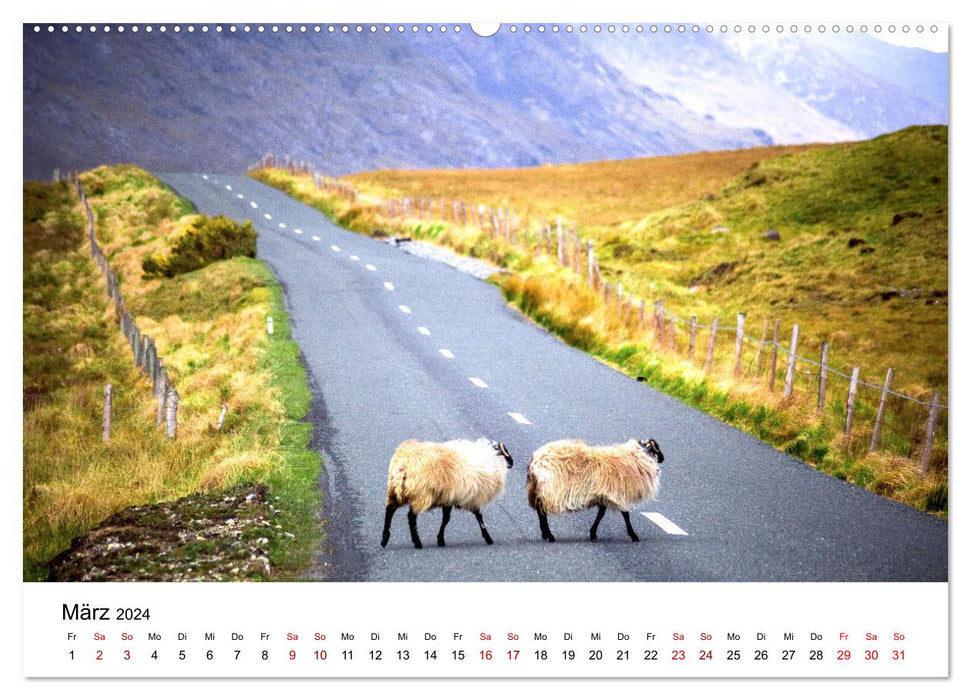 Irland - Malerische Landschaften (CALVENDO Wandkalender 2024)