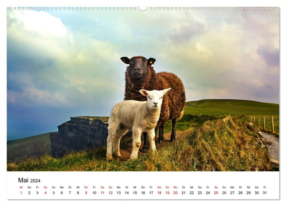 Irland - Malerische Landschaften (CALVENDO Wandkalender 2024)