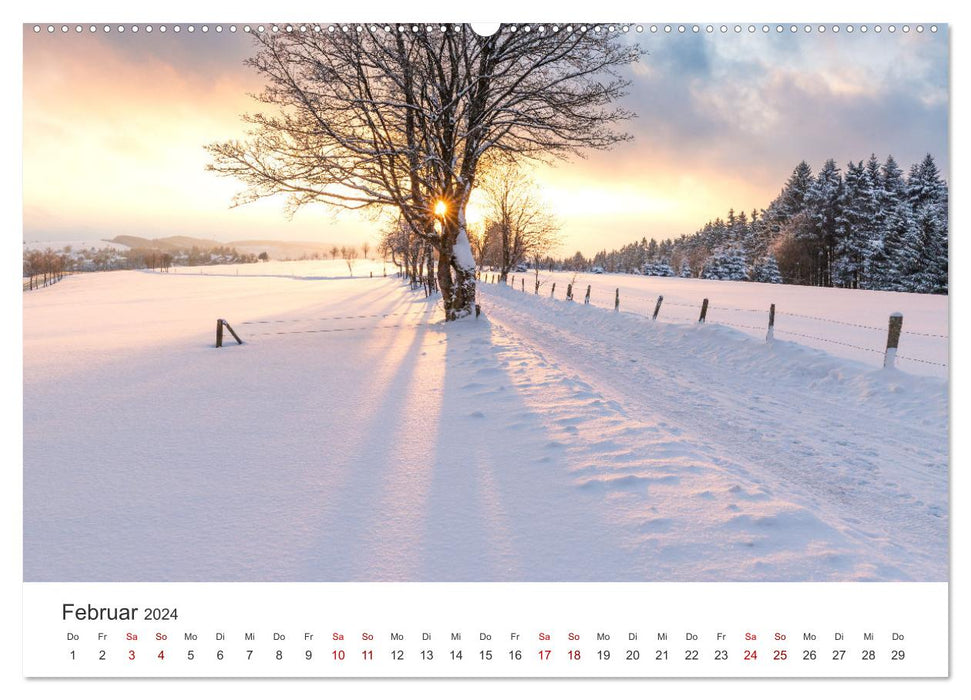 Das Sauerland im Wechsel der Jahreszeiten (CALVENDO Premium Wandkalender 2024)