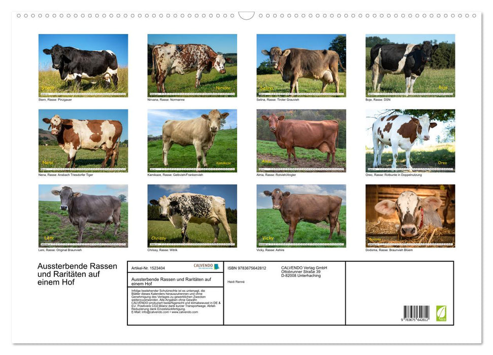 Aussterbende Rassen und Raritäten (CALVENDO Wandkalender 2024)