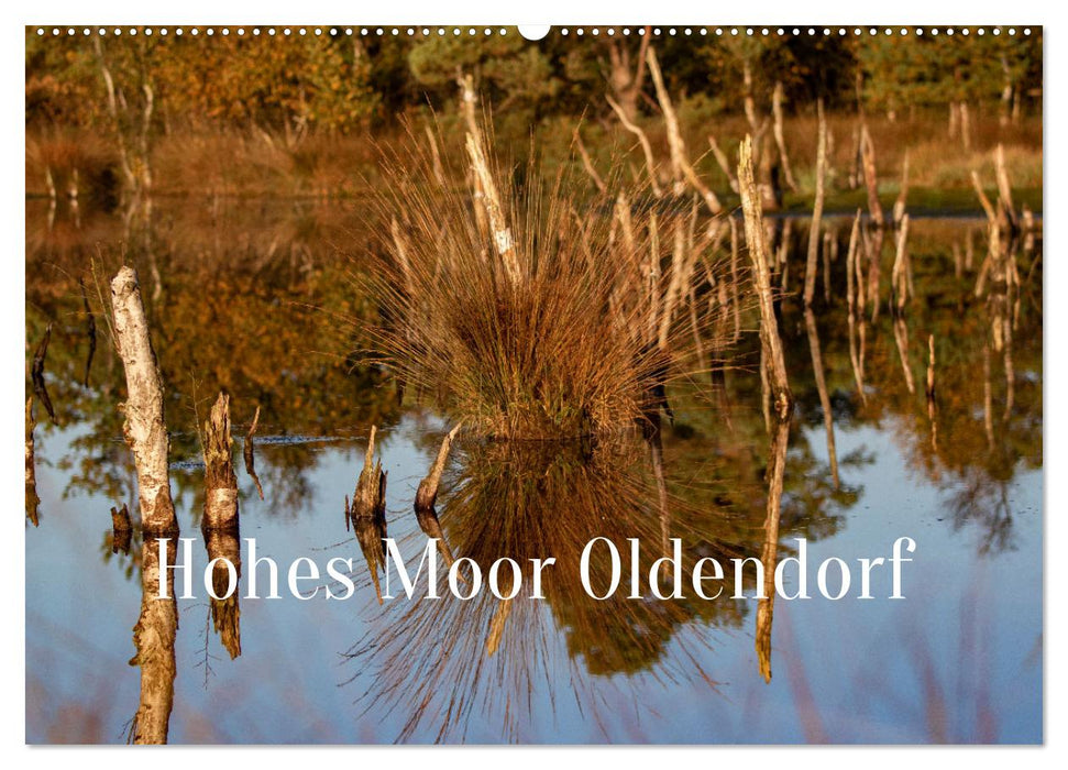 Hohes Moor Oldendorf (Calendrier mural CALVENDO 2024) 
