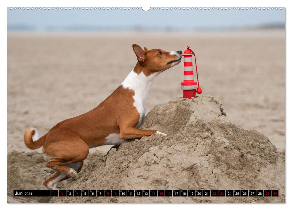 Lovable Basenjis (CALVENDO Premium Wall Calendar 2024) 