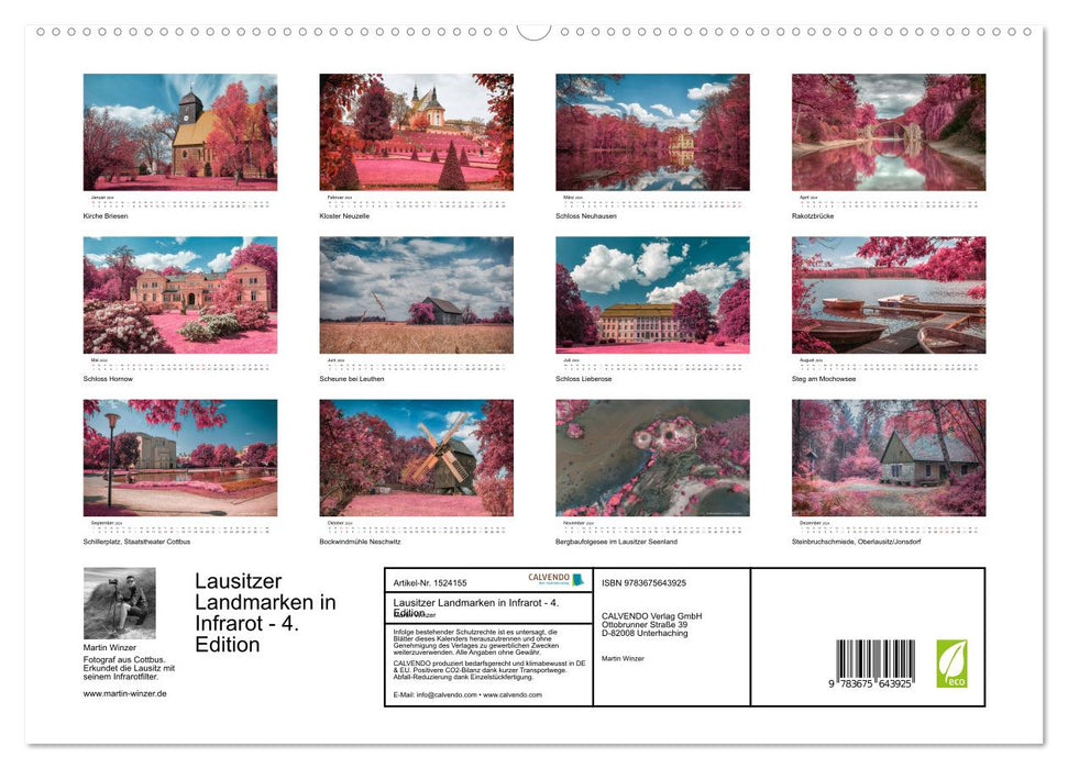 Lausitz à travers le filtre infrarouge (Calendrier mural CALVENDO Premium 2024) 