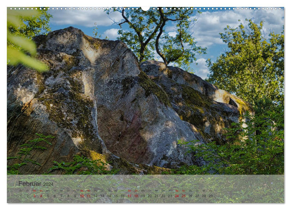 Felsenburg Rotenhan (CALVENDO Wandkalender 2024)