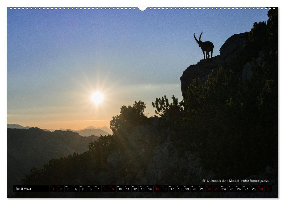 Magisches Licht der Berge (CALVENDO Premium Wandkalender 2024)