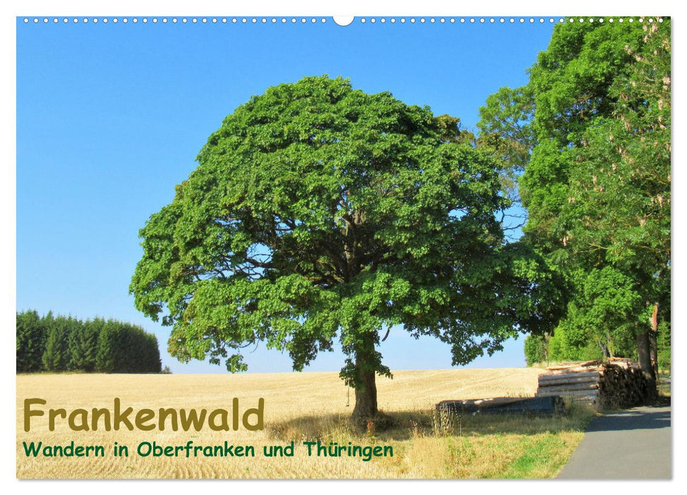 Frankenwald - Wandern in Oberfranken und Thüringen (CALVENDO Wandkalender 2024)