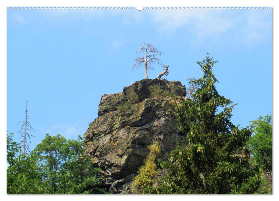 Frankenwald - Wandern in Oberfranken und Thüringen (CALVENDO Wandkalender 2024)