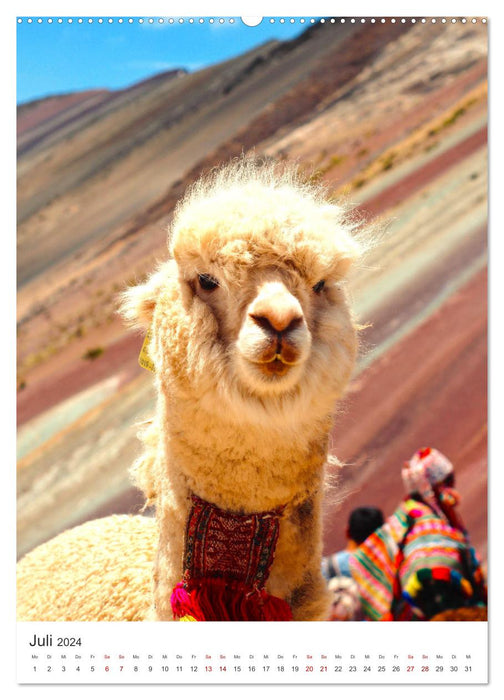 Eine Abenteuerreise durch Peru (CALVENDO Premium Wandkalender 2024)
