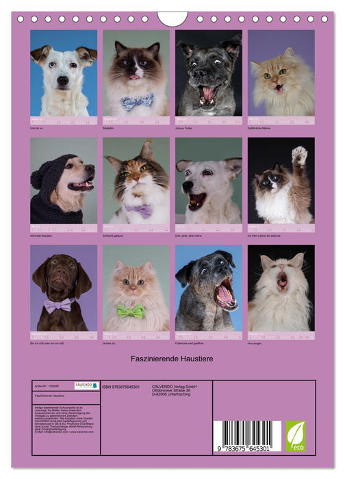 Faszinierende Haustiere (CALVENDO Wandkalender 2024)