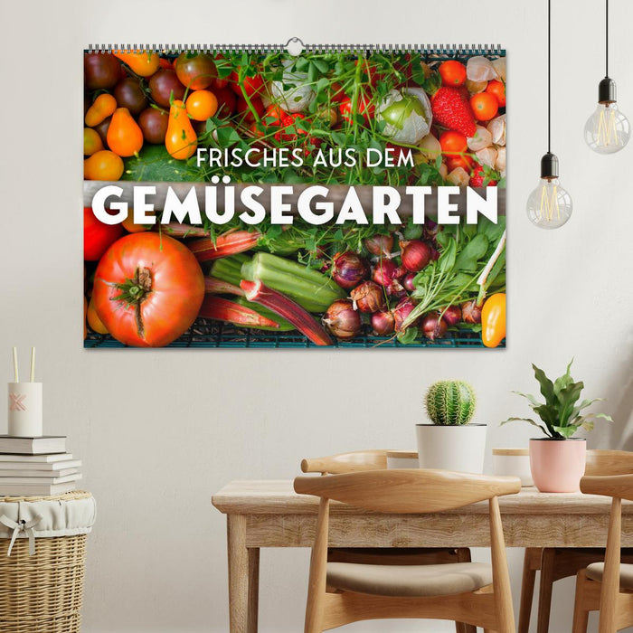 Frisches aus dem Gemüsegarten (CALVENDO Wandkalender 2024)