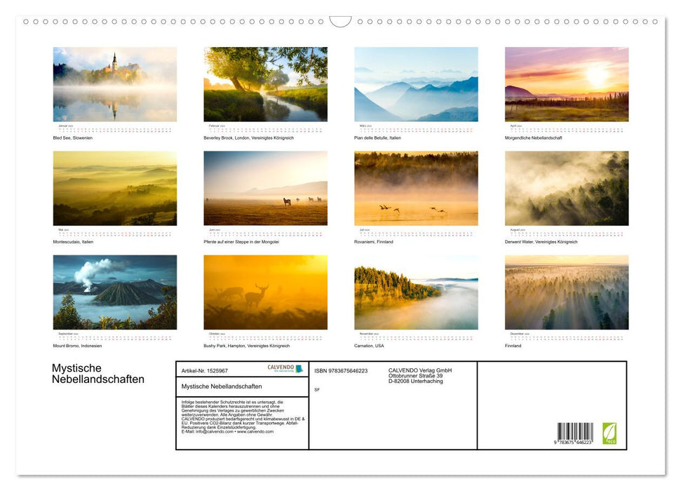 Paysages brumeux mystiques (calendrier mural CALVENDO 2024) 