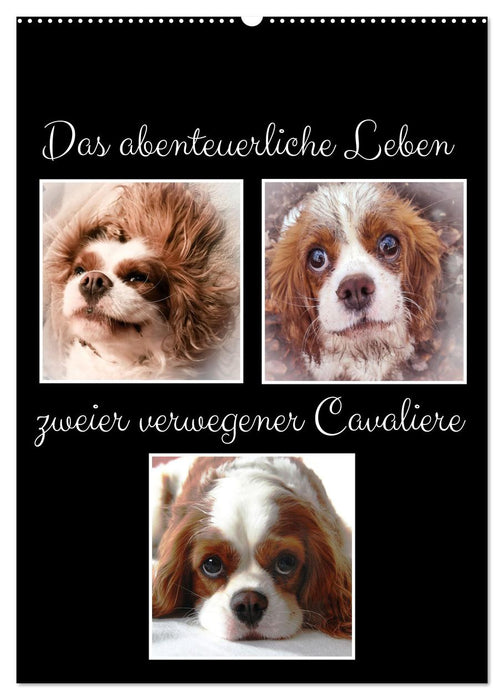 La vie aventureuse de deux cavaliers audacieux (Calendrier mural CALVENDO 2024) 