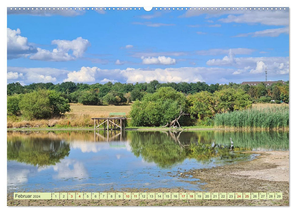 Burg bei Magdeburg (CALVENDO Premium Wandkalender 2024)