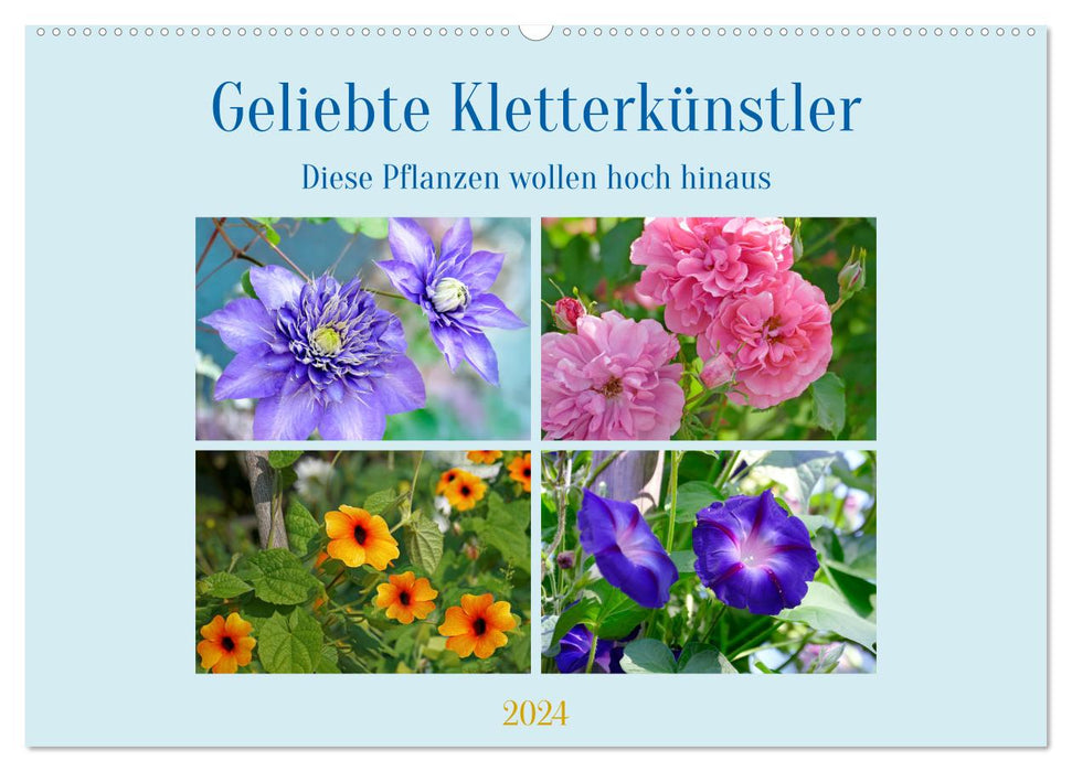 Geliebte Kletterkünstler (CALVENDO Wandkalender 2024)