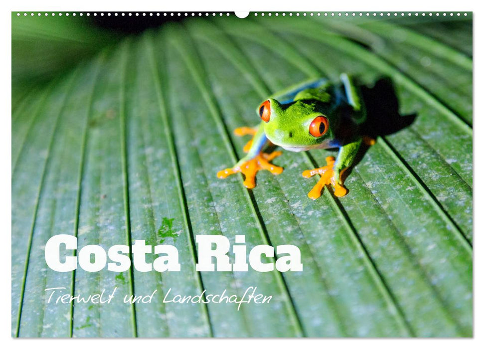 Costa Rica - Tierwelt und Landschaften (CALVENDO Wandkalender 2024)
