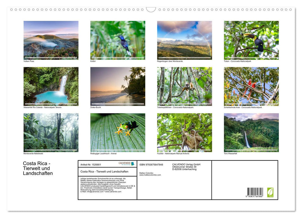 Costa Rica - Tierwelt und Landschaften (CALVENDO Wandkalender 2024)