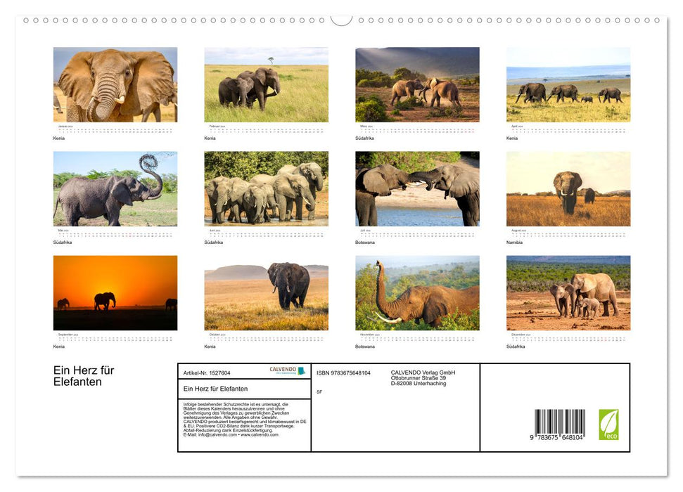 Ein Herz für Elefanten (CALVENDO Premium Wandkalender 2024)