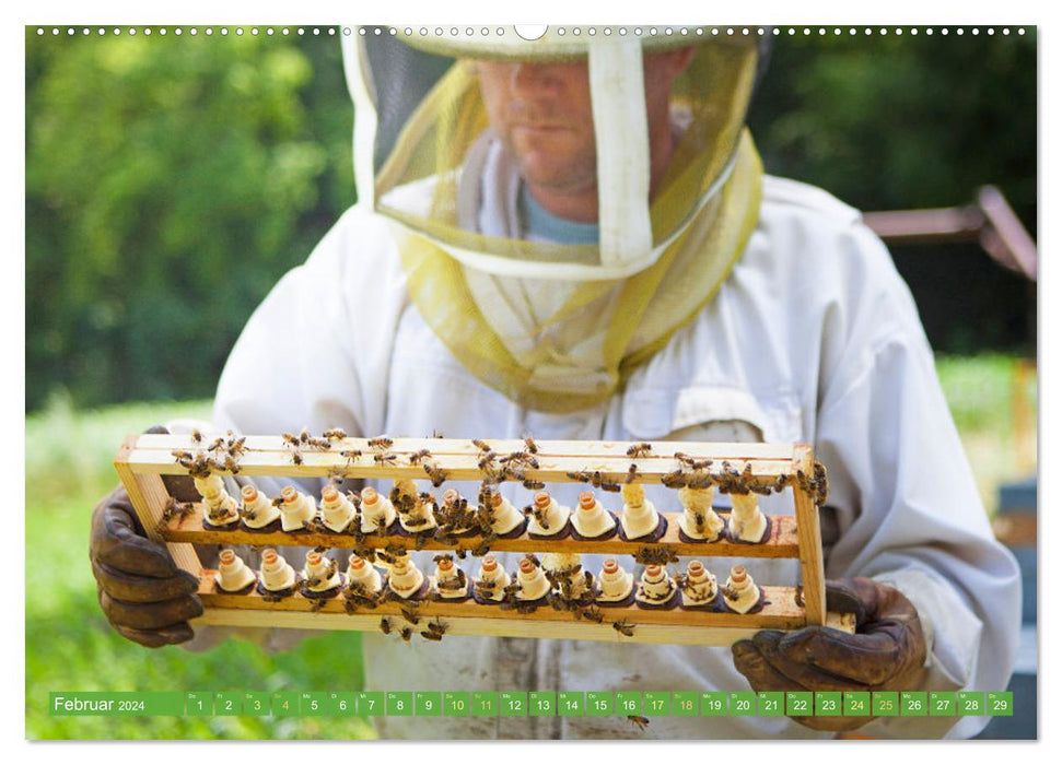 Der Imker: Leidenschaft für die Honigbiene (CALVENDO Premium Wandkalender 2024)