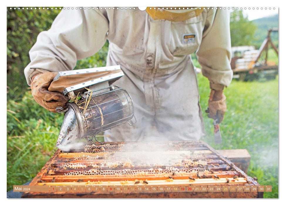 L'apiculteur : Passion pour les abeilles mellifères (Calendrier mural CALVENDO Premium 2024) 