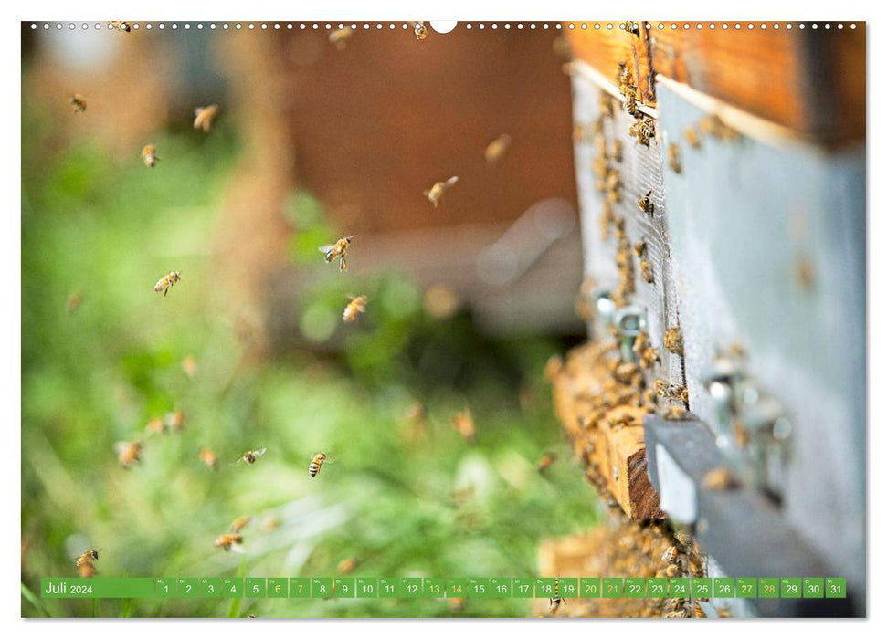 L'apiculteur : Passion pour les abeilles mellifères (Calendrier mural CALVENDO Premium 2024) 