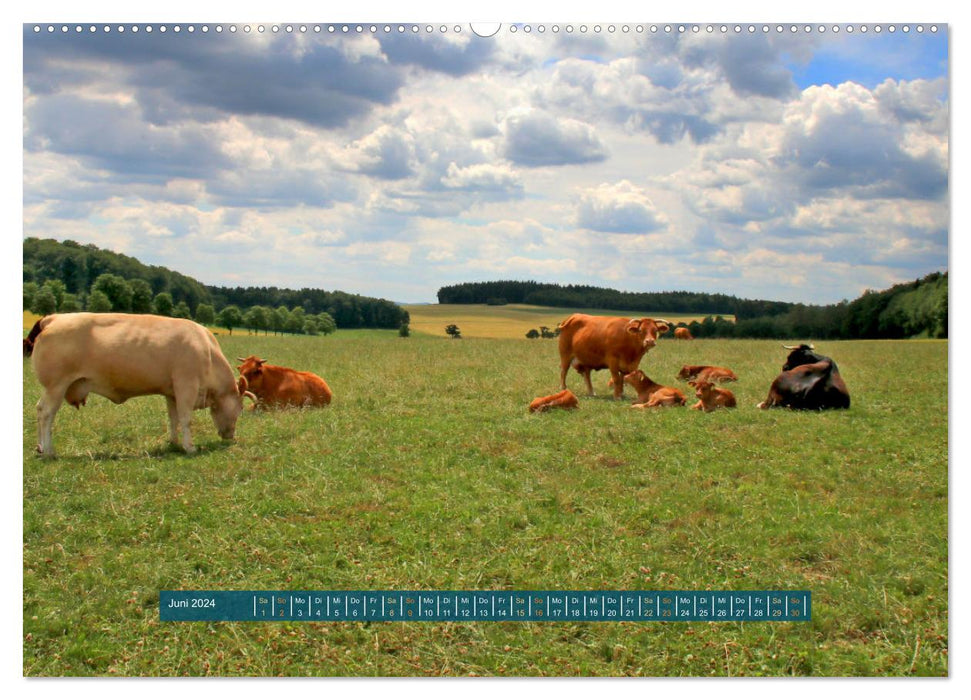 Toscane dans l'Eifel - Le Lampertstal (calendrier mural CALVENDO 2024) 